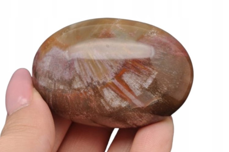 * SKAMIENIAŁE DREWNO MADAGASKAR POLEROWANY SZLIFOWANY KAMIEŃ NR GSDO3 *