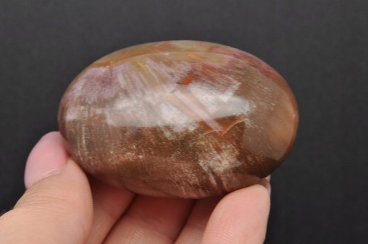 * SKAMIENIAŁE DREWNO MADAGASKAR POLEROWANY SZLIFOWANY KAMIEŃ NR GSDO3 *