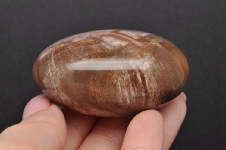 * SKAMIENIAŁE DREWNO MADAGASKAR POLEROWANY SZLIFOWANY KAMIEŃ NR GSDO3 *