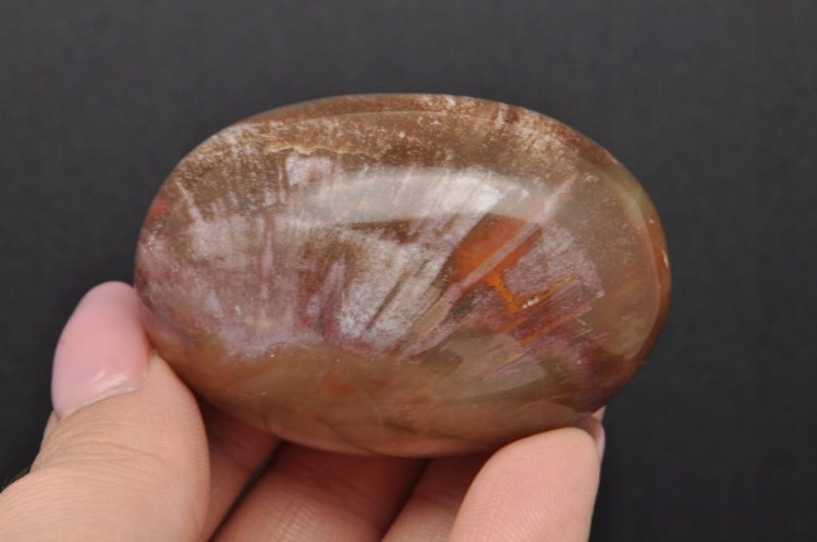 * SKAMIENIAŁE DREWNO MADAGASKAR POLEROWANY SZLIFOWANY KAMIEŃ NR GSDO3 *