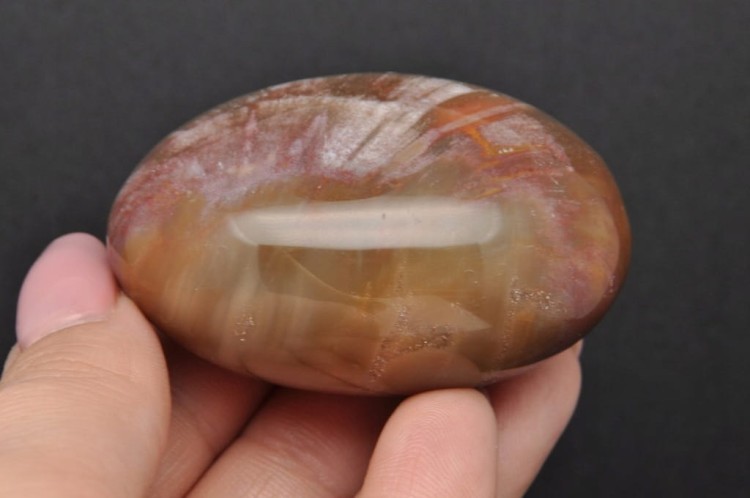 * SKAMIENIAŁE DREWNO MADAGASKAR POLEROWANY SZLIFOWANY KAMIEŃ NR GSDO3 *