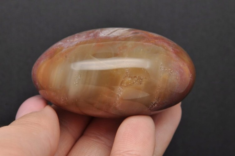 * SKAMIENIAŁE DREWNO MADAGASKAR POLEROWANY SZLIFOWANY KAMIEŃ NR GSDO3 *