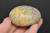 * OPAL DENDRYCZNY, DENDRYTOWY EFEKTOWNY WIELOKOLOROWY MINERAŁ NR GOD10 *