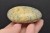 * OPAL DENDRYCZNY, DENDRYTOWY EFEKTOWNY WIELOKOLOROWY MINERAŁ NR GOD10 *