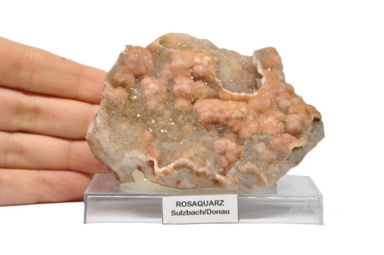 * KWARC RÓŻOWY Z AGATEM NA PODSTAWCE RZADKA LOKALIZACJA NR 5 *