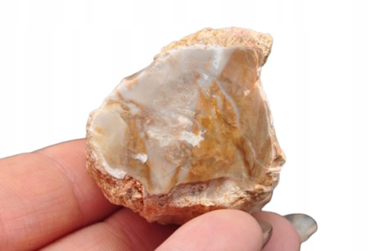 * SKAMIENIAŁE DREWNO PIENIEK DOSKONAŁA JAKOŚĆ DLA WYJĄTKOWEJ OSOBY DPI 16 *