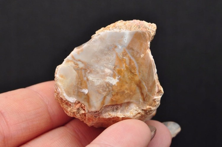 * SKAMIENIAŁE DREWNO PIENIEK DOSKONAŁA JAKOŚĆ DLA WYJĄTKOWEJ OSOBY DPI 16 *