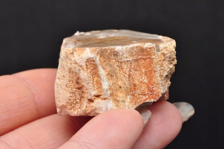 * SKAMIENIAŁE DREWNO PIENIEK DOSKONAŁA JAKOŚĆ DLA WYJĄTKOWEJ OSOBY DPI 16 *