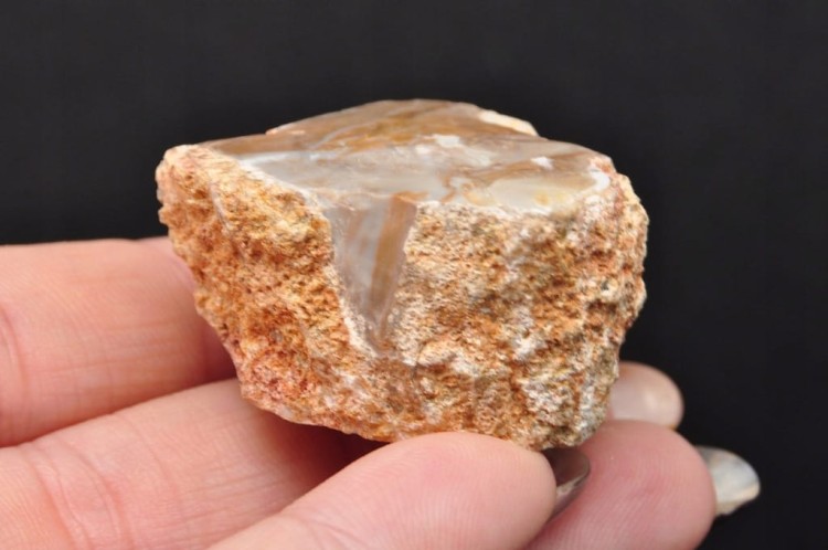 * SKAMIENIAŁE DREWNO PIENIEK DOSKONAŁA JAKOŚĆ DLA WYJĄTKOWEJ OSOBY DPI 16 *