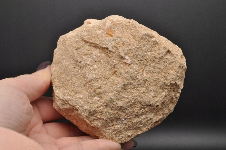 * ZĄB REKINA W SKALE ATRAKCYJNA SKAMIENIAŁOŚĆ DOSKONAŁA DO KOLEKCJI NR R2 *