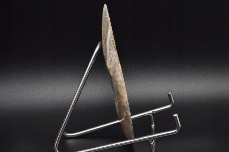 * AMONIT MADAGASKAR INTERESUJĄCY OKAZ DOSKONAŁY DO KOLEKCJI NR 2 *