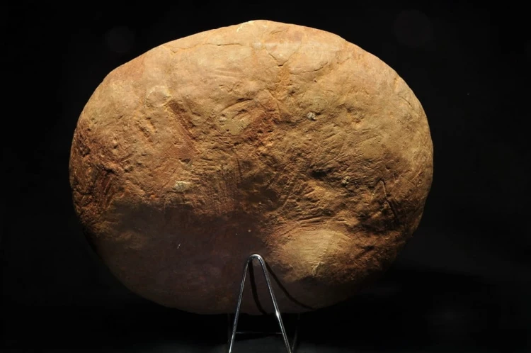 * SEPTARIA POLSKA DUŻY ZJAWISKOWY OKAZ INTERESUJĄCY WZÓR PRAWIE 8KG ! NR 2