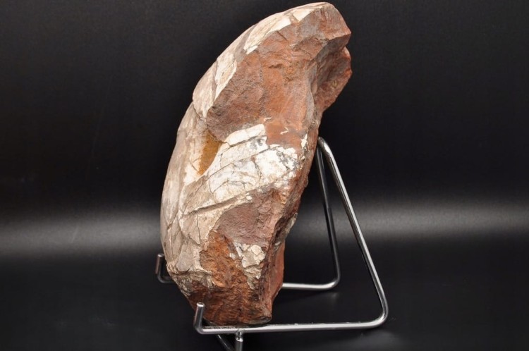 * AMONIT Z OPALIZACJĄ PRZEPIĘKNA OPALIZACJA DUŻY OKAZ POLSKA CZĘSTOCHOWA 1