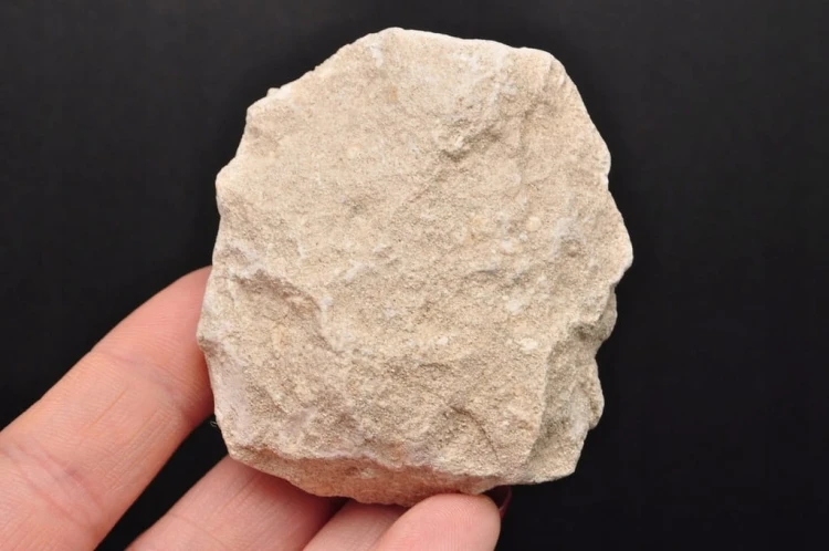 * ZĄB REKINA W SKALE SUROWY PRAWDZIWY OKAZ DOSKONALE ZACHOWANY NR 1 *