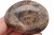 * KAMIEŃ KSIĘŻYCOWY MOONSTONE DOSKONAŁY KAMIEŃ DO KOLEKCJI NR GM02 *