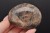 * KAMIEŃ KSIĘŻYCOWY MOONSTONE DOSKONAŁY KAMIEŃ DO KOLEKCJI NR GM02 *