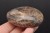 * KAMIEŃ KSIĘŻYCOWY MOONSTONE DOSKONAŁY KAMIEŃ DO KOLEKCJI NR GM02 *
