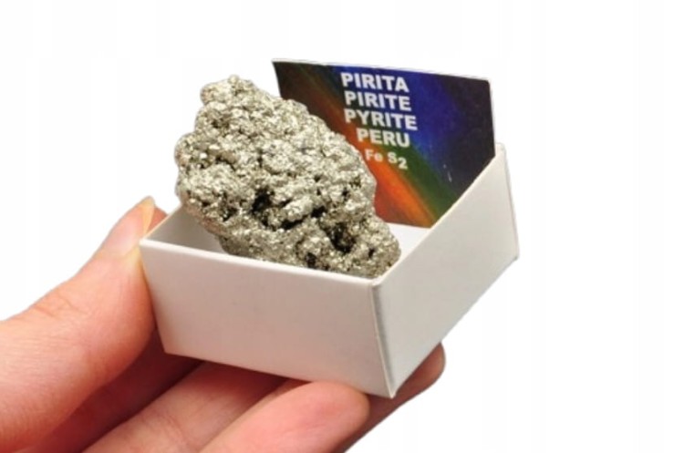 * PIRYT PERU W PUDEŁKU SUPER JAKOŚĆ ŚLICZNY OKAZ NR 1