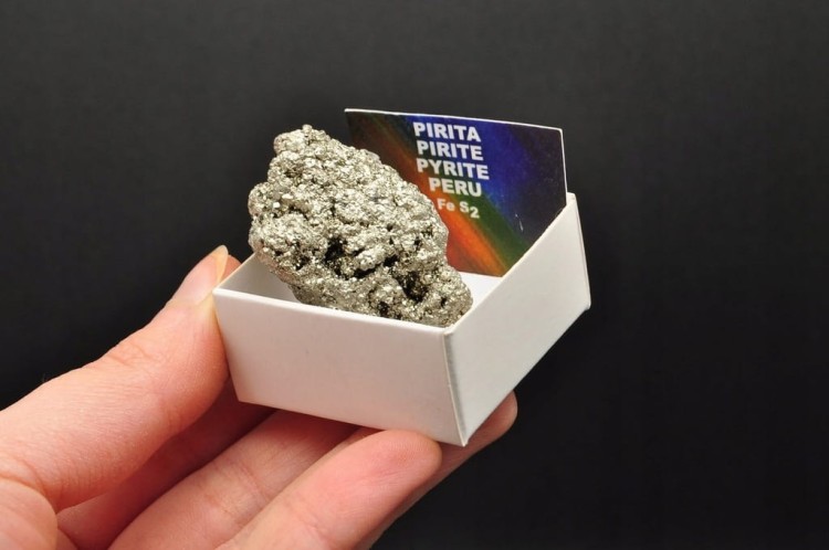 * PIRYT PERU W PUDEŁKU SUPER JAKOŚĆ ŚLICZNY OKAZ NR 1