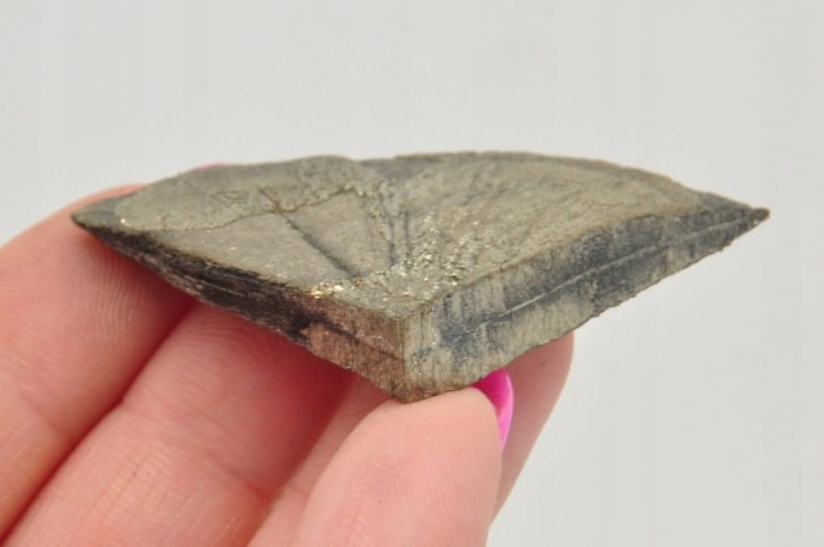 * SŁOŃCE PIRYTOWE USA NATURALNY MINERAŁ ZŁOTY KOLOR DOBRA JAKOŚĆ NR 4 *