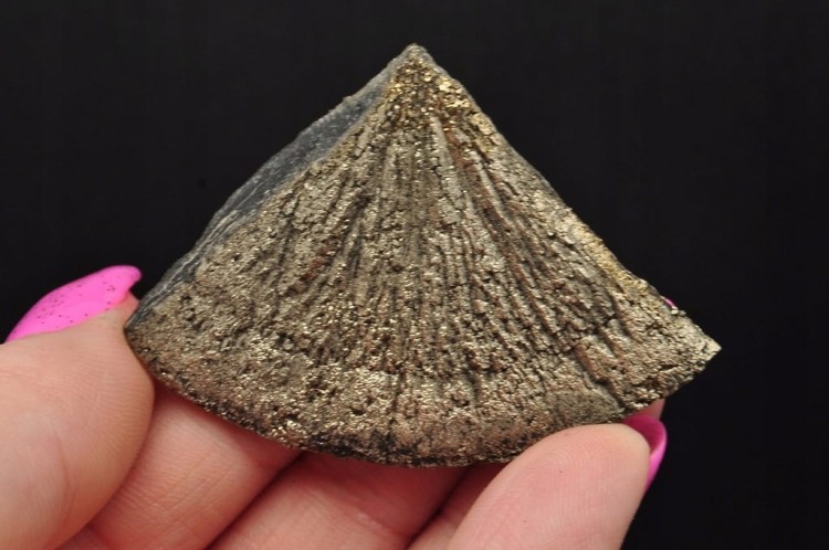* SŁOŃCE PIRYTOWE USA NATURALNY MINERAŁ ZŁOTY KOLOR DOBRA JAKOŚĆ NR 4 *