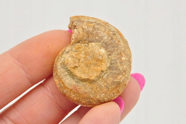 * AMONIT BOLĘCIN POLSKA CIEKAWA LOKALIZACJA IDEALNY DO KOLEKCJI NR 12 *