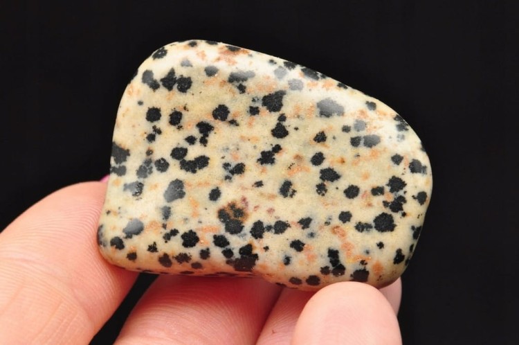 * JASPIS DALMATYŃSKI USA MINERAŁ DLA WYJĄTKOWEJ OSOBY NR D10 *