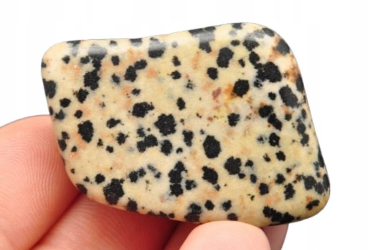 * JASPIS DALMATYŃSKI USA NATURALNY MINERAŁ DOSKONAŁY JAKO DEKORACJA NR D7 *