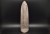 * ORTHOCERAS W SKALE CIEKAWA SKAMIENIAŁOŚĆ DOSKONAŁA DO KOLEKCJI NR 2 *