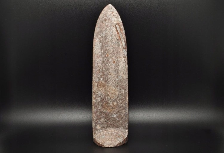 * ORTHOCERAS W SKALE CIEKAWA SKAMIENIAŁOŚĆ DOSKONAŁA DO KOLEKCJI NR 2 *