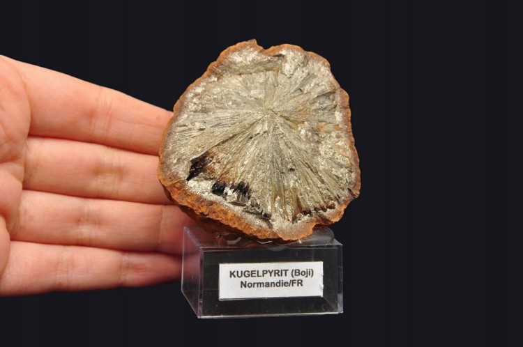 * KULA PIRYTOWA FRANCJA ZŁOTY MINERAŁ INTERESUJĄCY OKAZ NA PODSTAWCE NR 1 *