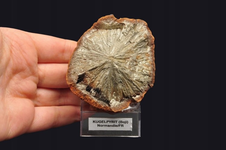 * KULA PIRYTOWA FRANCJA ZŁOTY MINERAŁ INTERESUJĄCY OKAZ NA PODSTAWCE NR 1 *