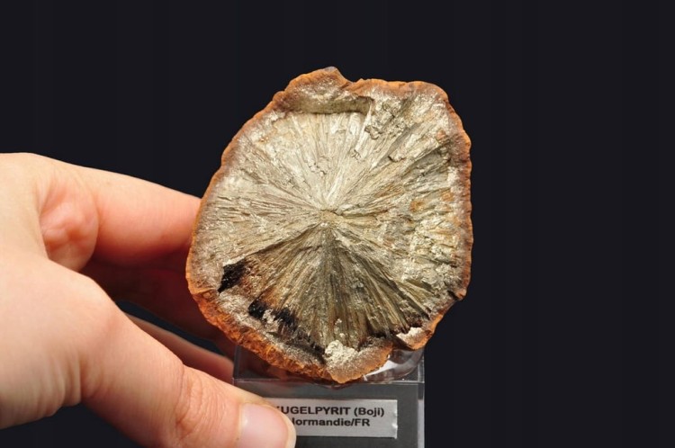 * KULA PIRYTOWA FRANCJA ZŁOTY MINERAŁ INTERESUJĄCY OKAZ NA PODSTAWCE NR 1 *