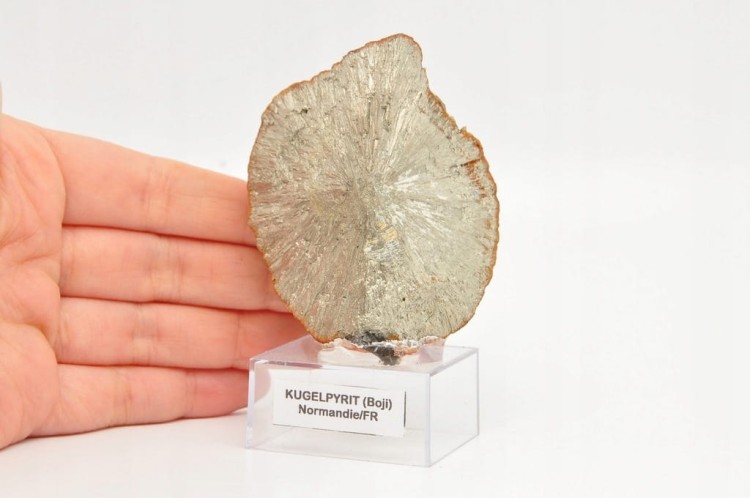 * KULA PIRYTOWA FRANCJA ZŁOTY MINERAŁ INTERESUJĄCY OKAZ NA PODSTAWCE NR 3 *