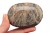 * KAMIEŃ KSIĘŻYCOWY MOONSTONE CIEKAWY WZÓR NATURALNY MINERAŁ NR GM01