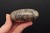 * KAMIEŃ KSIĘŻYCOWY MOONSTONE CIEKAWY WZÓR NATURALNY MINERAŁ NR GM01