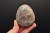 * KAMIEŃ KSIĘŻYCOWY MOONSTONE NATURALNY OKAZ CIEKAWY MINERAŁ NR GM06 *