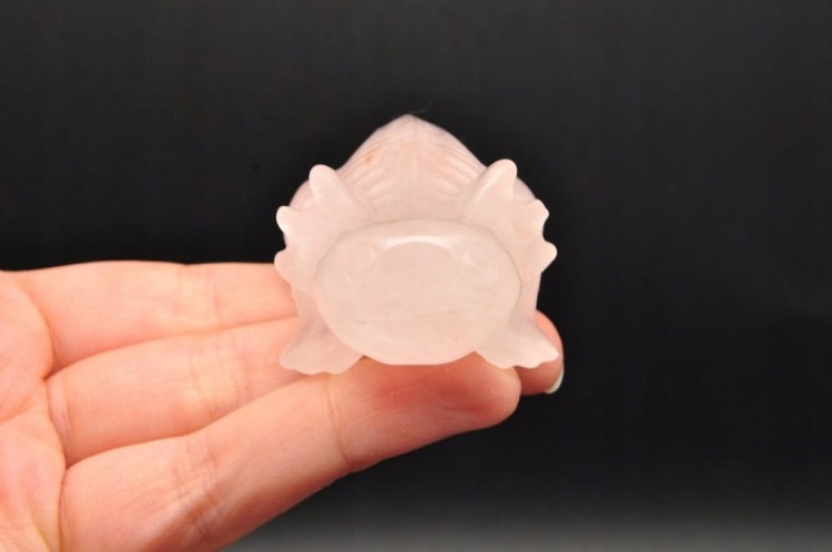 * KWARC RÓŻOWY AKSOLOTL AMBYSTOMA MEKSYKAŃSKA UROKLIWA FIGURKA NR 2 *