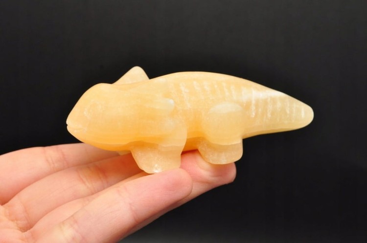 * KALCYT ŻÓŁTY FIGURKA AKSOLOTL AMBYSTOMA MEKSYKAŃSKA PIĘKNY OKAZ NR 3 *