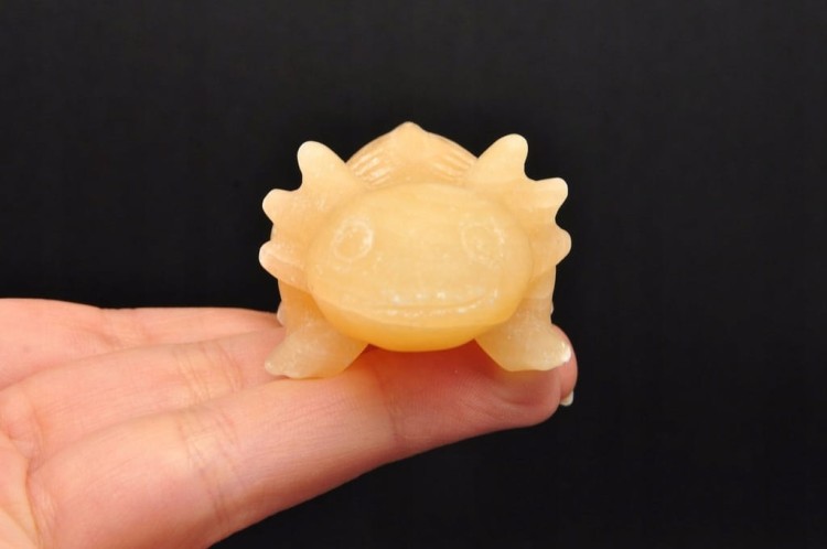 * KALCYT ŻÓŁTY FIGURKA AKSOLOTL AMBYSTOMA MEKSYKAŃSKA PIĘKNY OKAZ NR 3 *