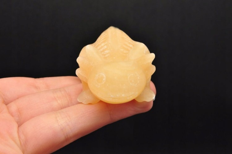 * KALCYT ŻÓŁTY FIGURKA AKSOLOTL AMBYSTOMA MEKSYKAŃSKA PIĘKNY OKAZ NR 3 *