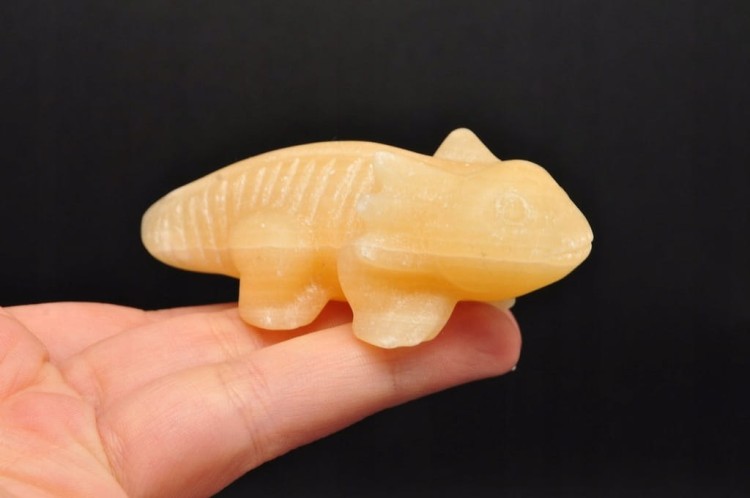 * KALCYT ŻÓŁTY FIGURKA AKSOLOTL AMBYSTOMA MEKSYKAŃSKA PIĘKNY OKAZ NR 3 *
