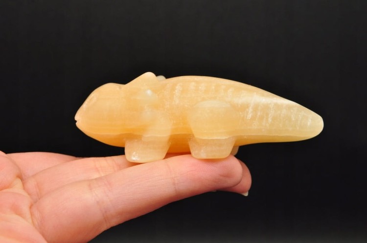 * KALCYT ŻÓŁTY FIGURKA AKSOLOTL AMBYSTOMA MEKSYKAŃSKA PIĘKNY OKAZ NR 3 *