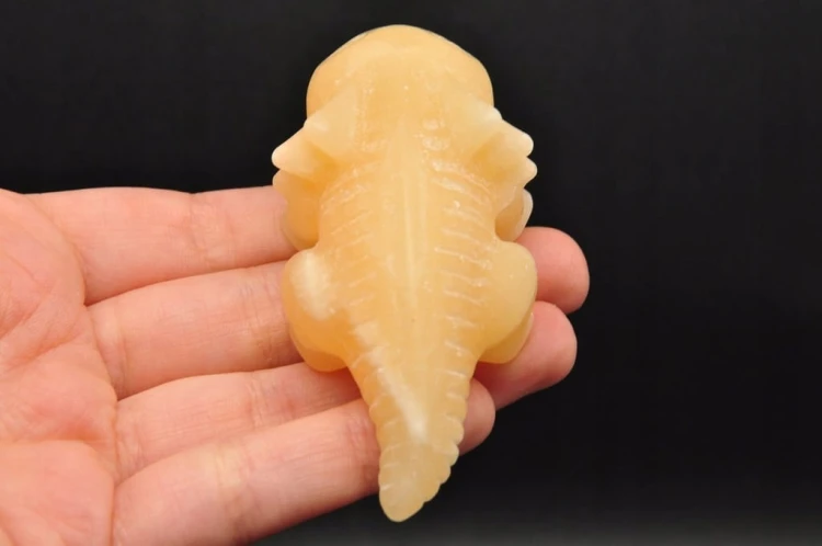 * KALCYT ŻÓŁTY FIGURKA AKSOLOTL AMBYSTOMA MEKSYKAŃSKA PIĘKNY OKAZ NR 3 *