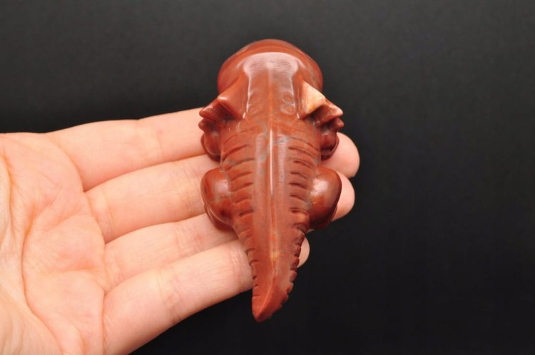 * JASPIS CZERWONY ŚLICZNA FIGURKA AKSOLOTL AMBYSTOMA MEKSYKAŃSKA NR 6 *