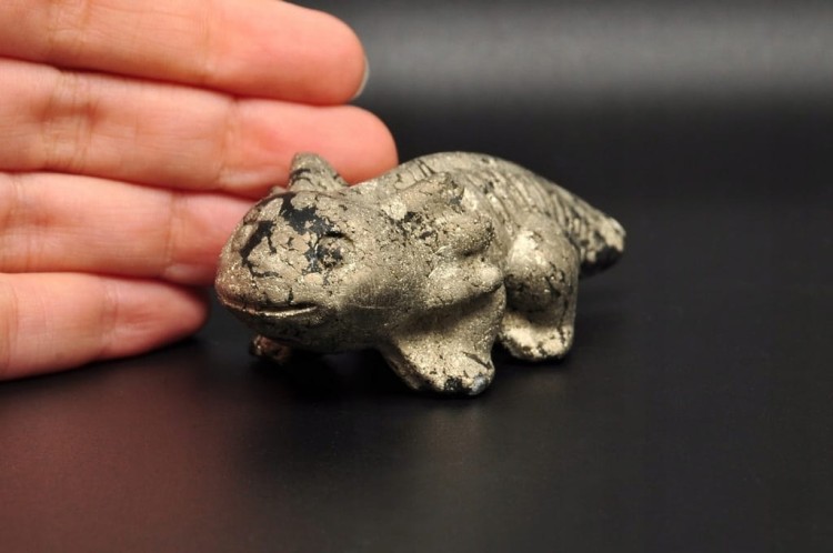 * PIRYT UROKLIWA FIGURKA AKSOLOTL AMBYSTOMA MEKSYKAŃSKA NR 10 *