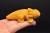 * ŻÓŁTY JASPIS FIGURKA AKSOLOTL AMBYSTOMA MEKSYKAŃSKA PIĘKNA BARWA NR 5 *