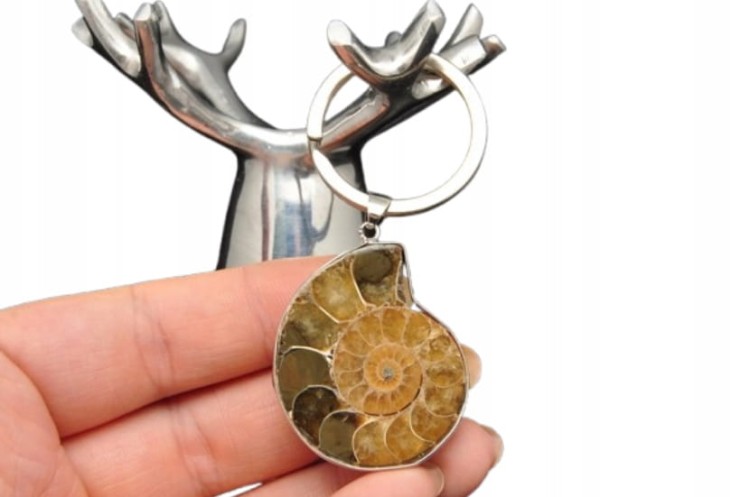 * AMONIT MADAGASKAR BRELOK BRELOCZEK JASNA BARWA SKAMIENIAŁOŚĆ NR 3 *