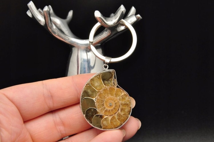 * AMONIT MADAGASKAR BRELOK BRELOCZEK JASNA BARWA SKAMIENIAŁOŚĆ NR 3 *