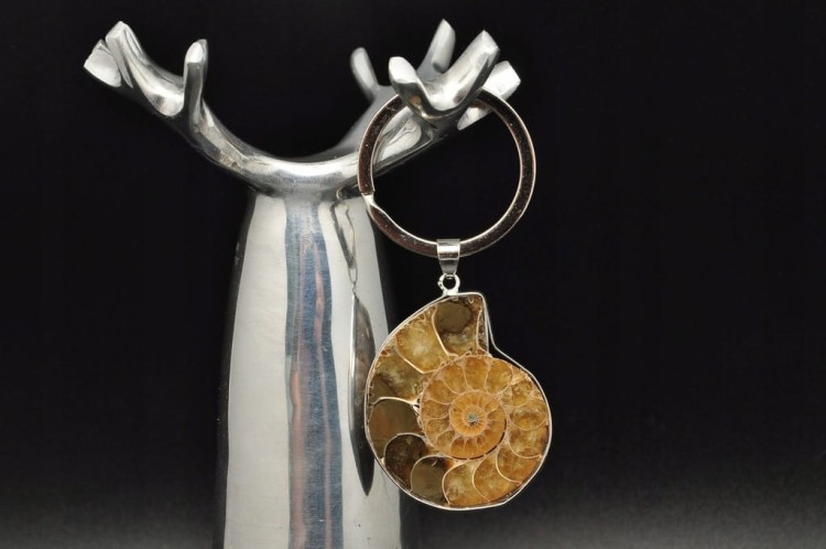 * AMONIT MADAGASKAR BRELOK BRELOCZEK JASNA BARWA SKAMIENIAŁOŚĆ NR 3 *